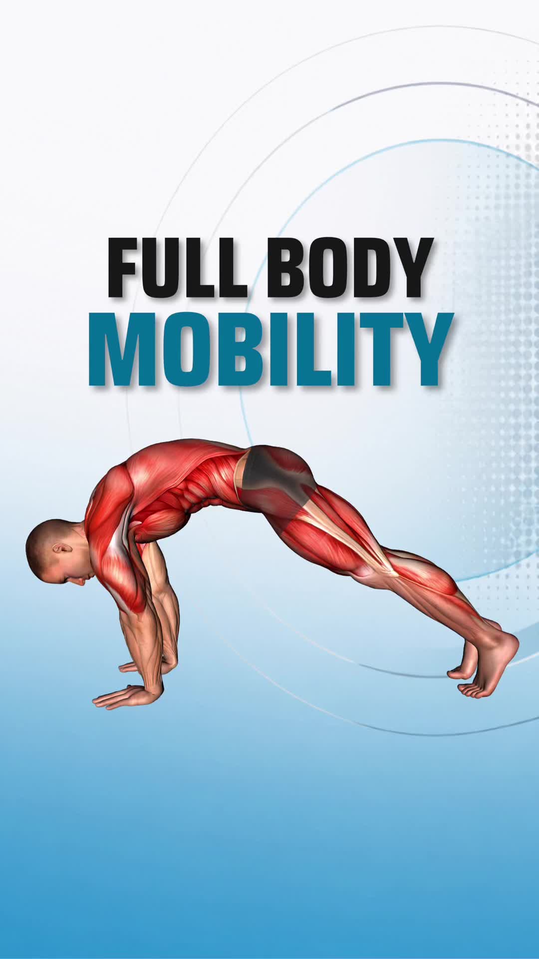 @PT Vitals | Mobility