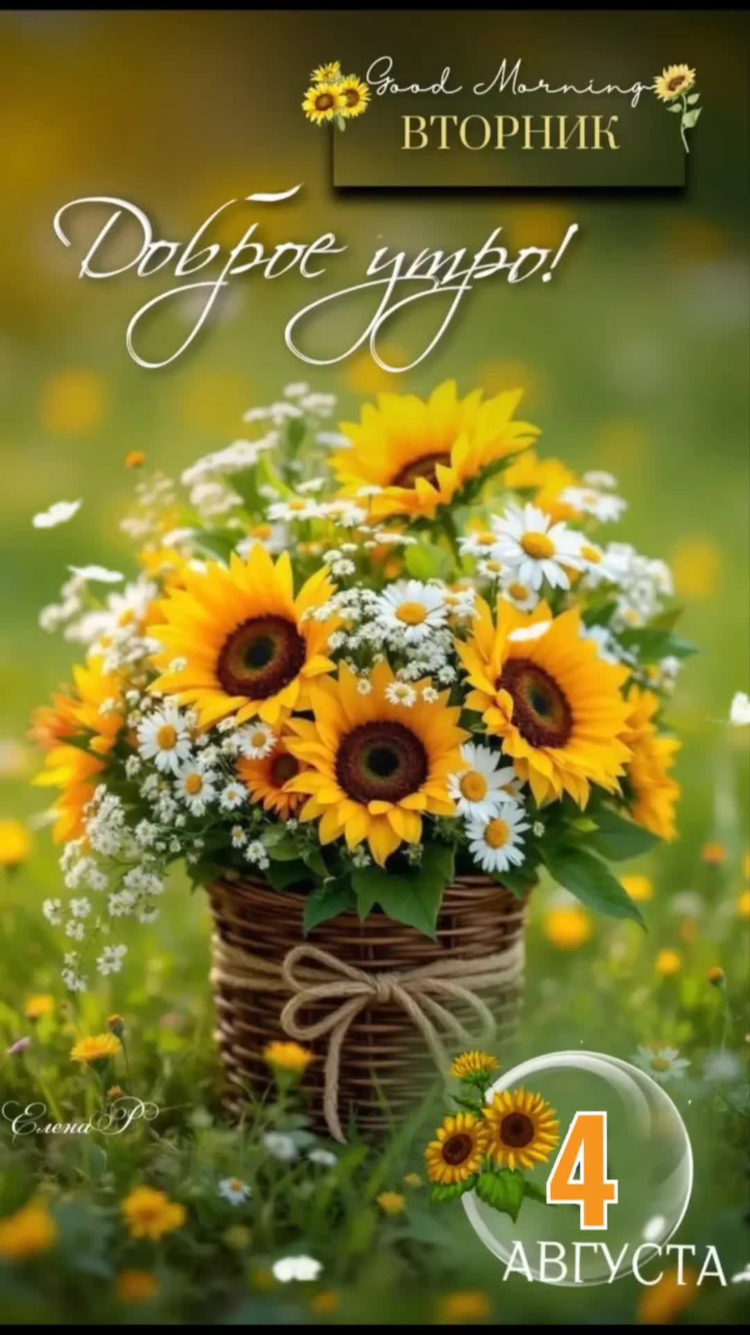 @olga