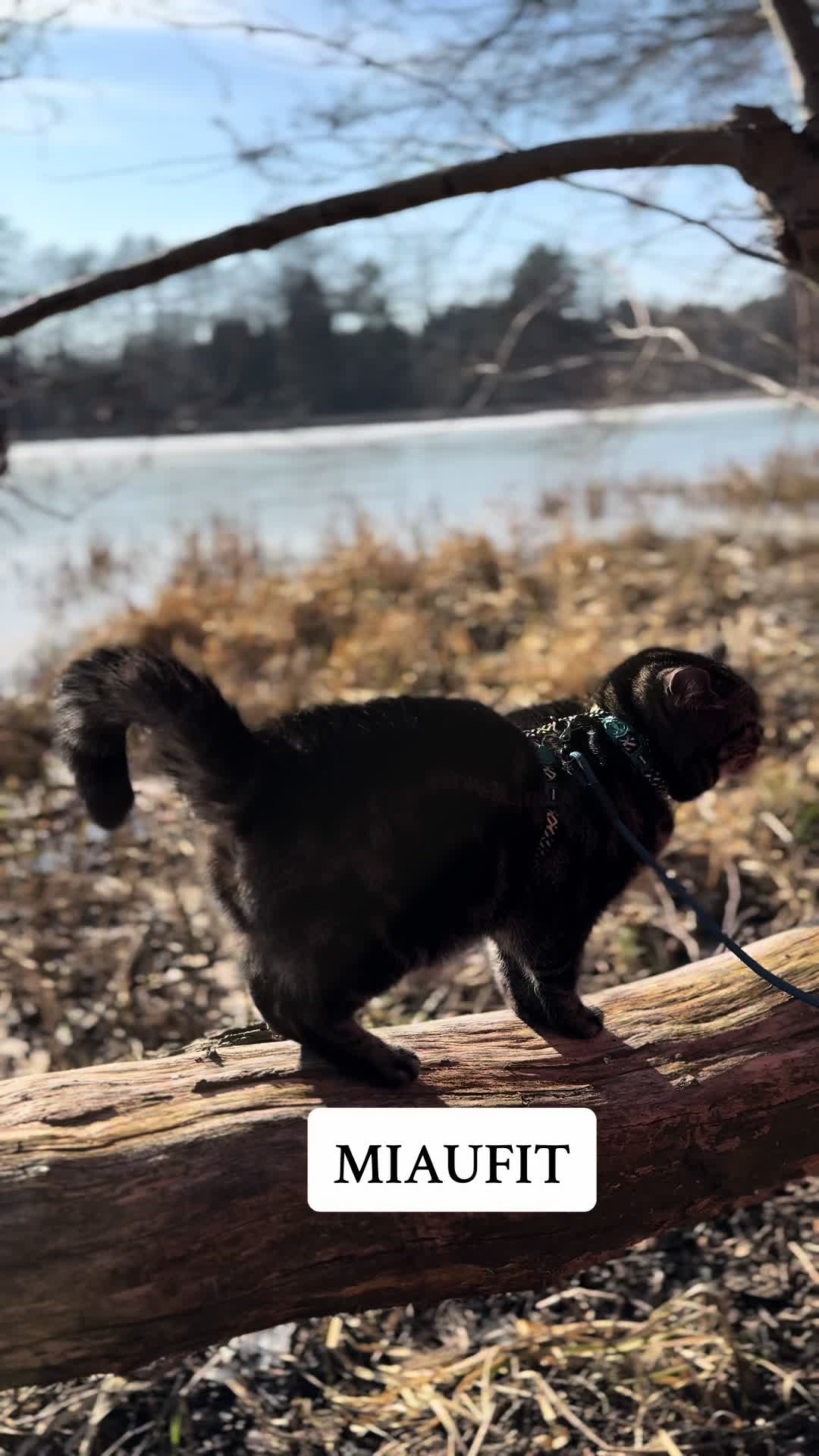 @Zooliday