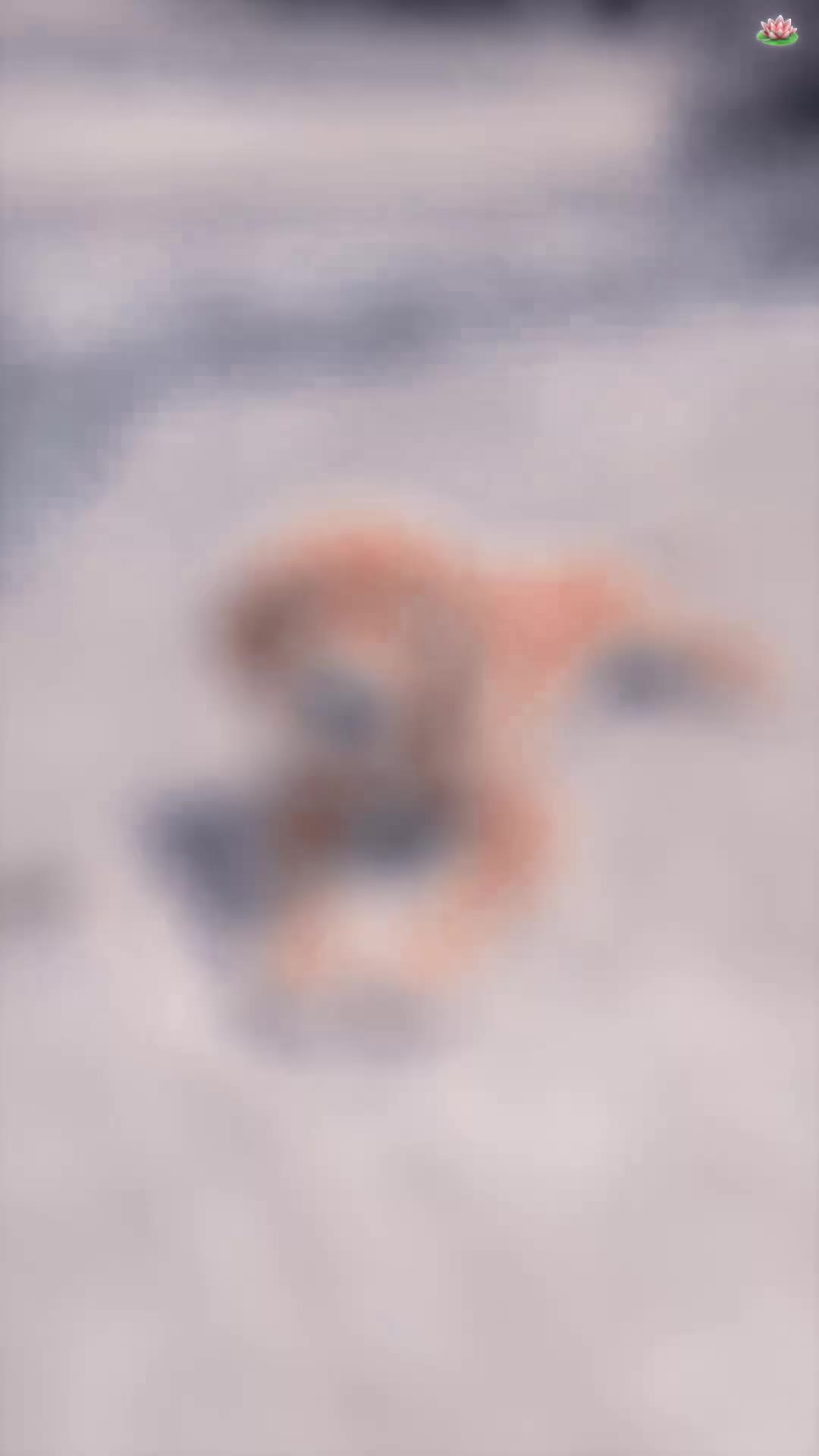 @˖˚៹✦ 𝐍𝐨𝐞!🪷 ˖ ࣪⤾