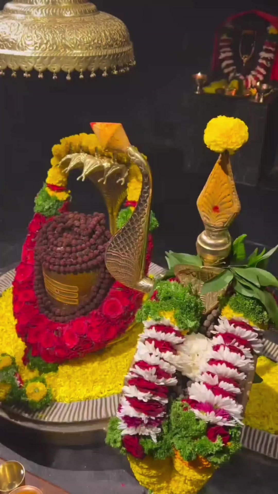 @✨❤️MAHADEV ka deewana 📿🙇🏻