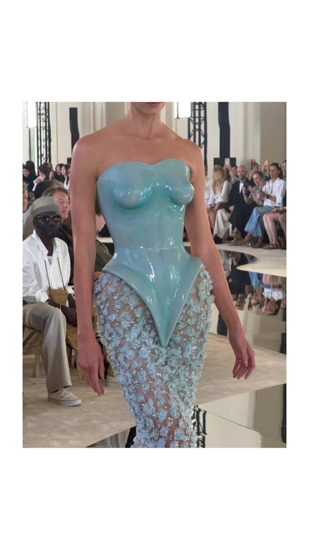 @🐬