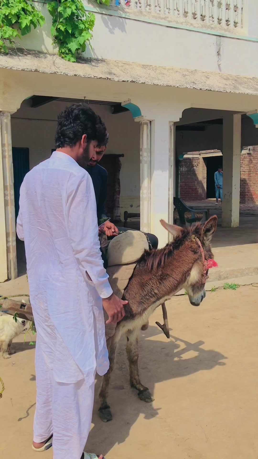 @Usama bhai