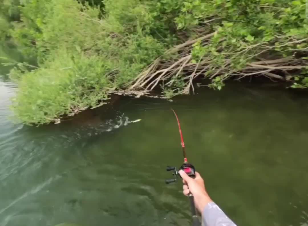 @fishing