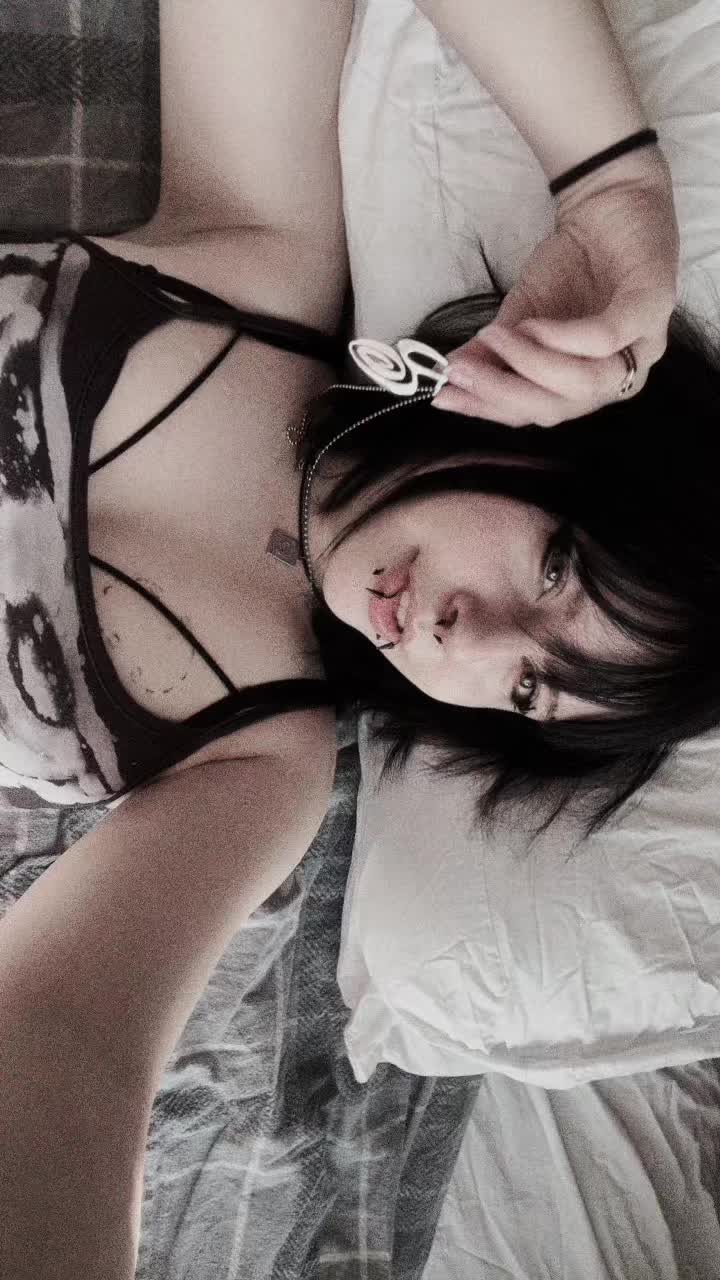 @dontfeedthejj