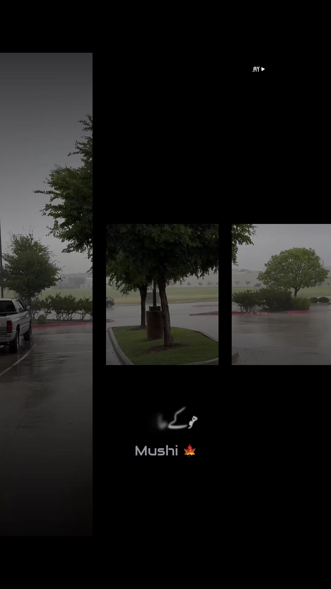 @Ayzal🍁Mushi