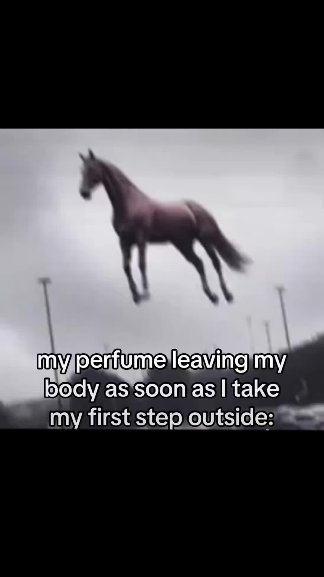 @Perfumeholic
