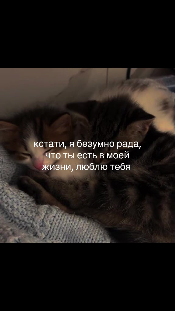 @♡‧₊˚softtiquiet˚₊‧♡