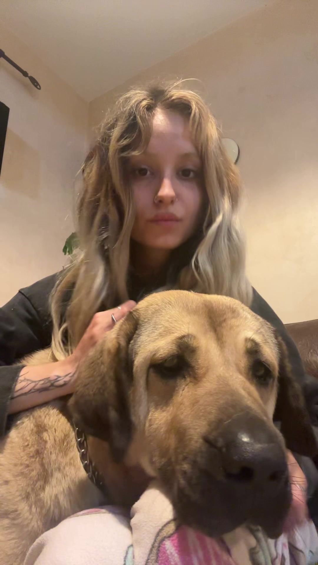 @Junito 💎🫧🍬🧚🏻
