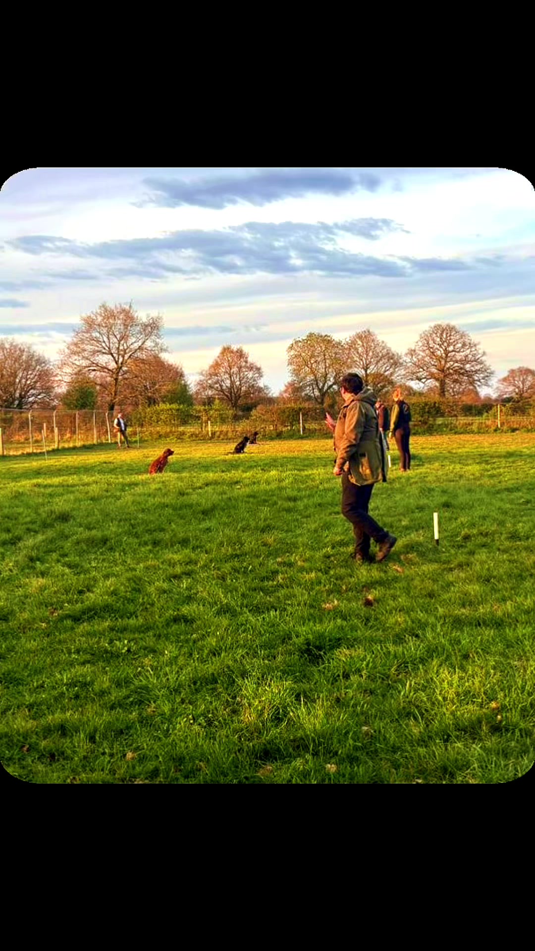 @Trails For Tails Dog Training
