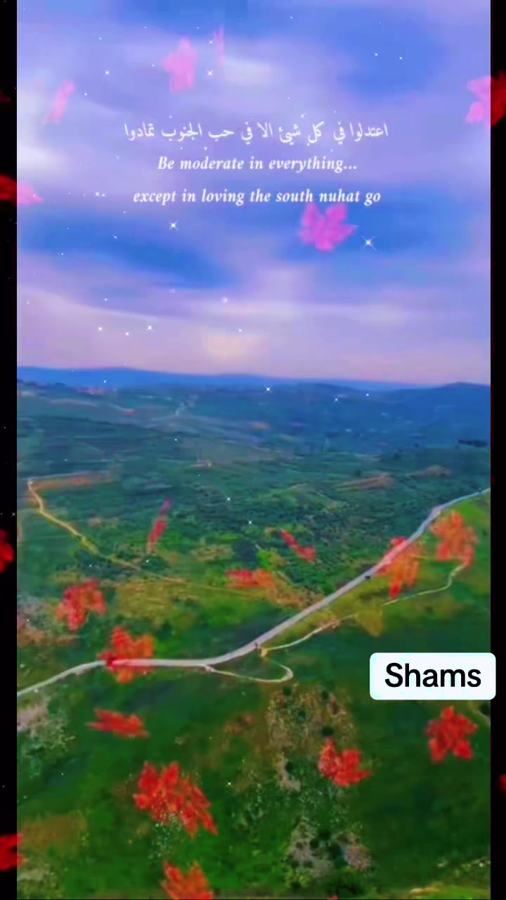 @Shams