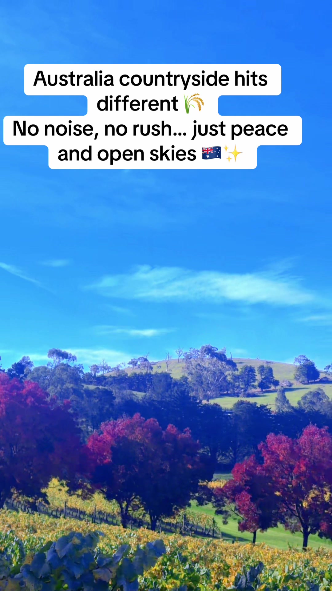@Ab……. ☪️☪️☪️