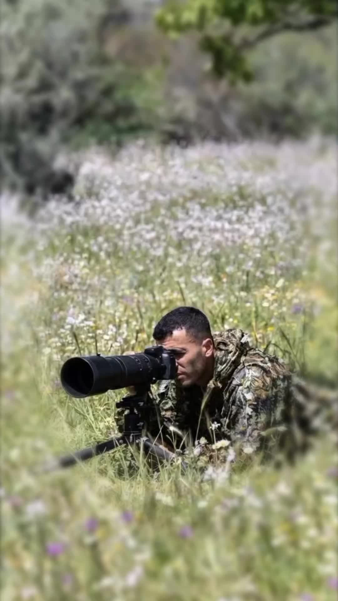 @ramziaouadj93