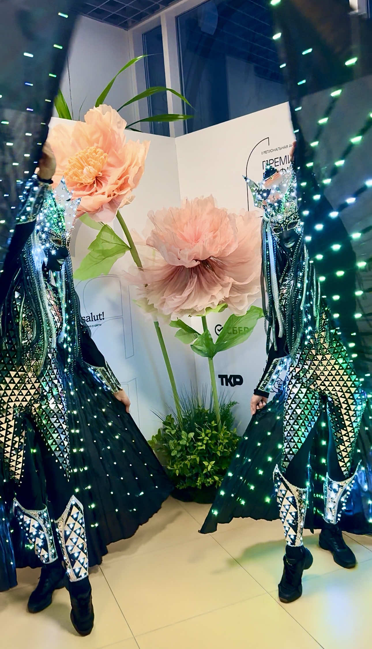 @Pandora Show/Световое шоу/LED