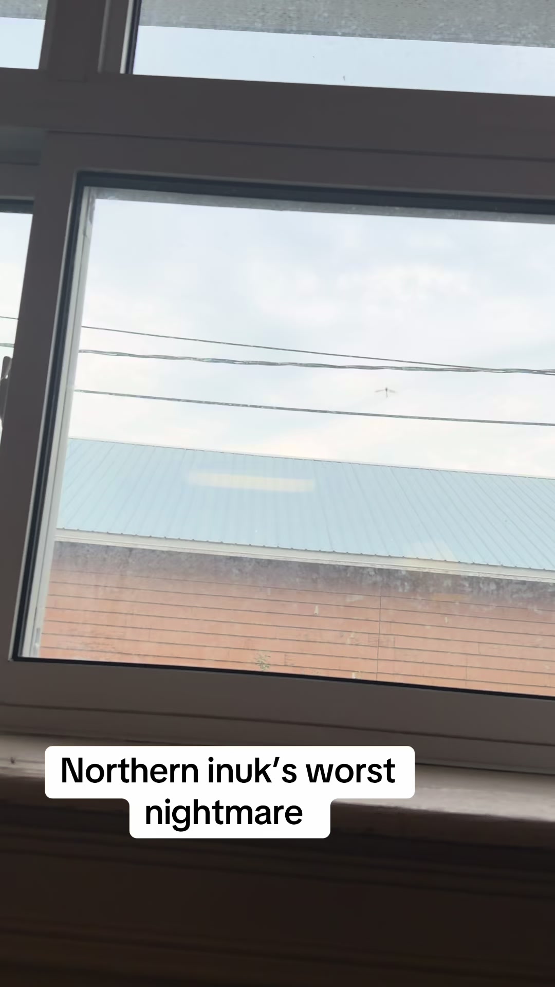 @Uncle Ukaliq
