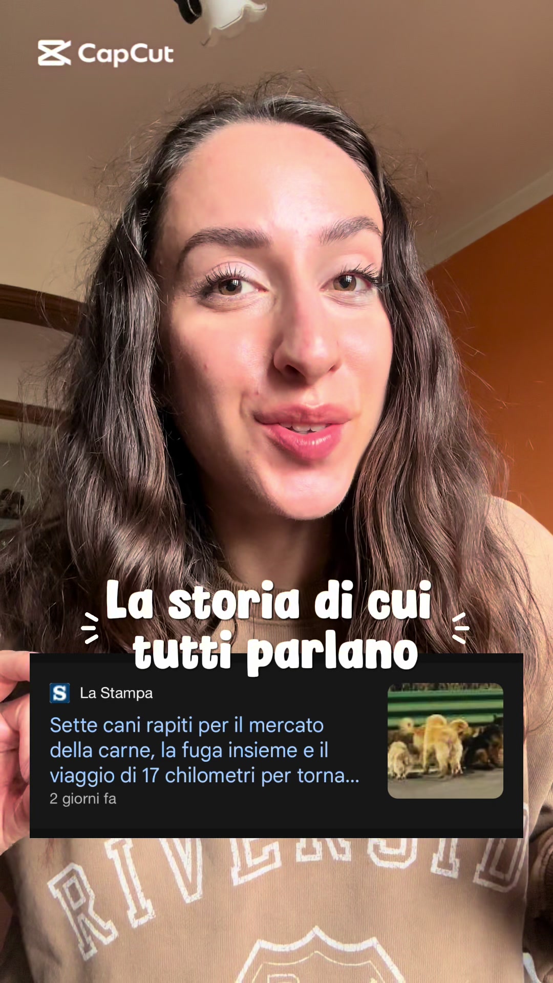 @vegbignosegal