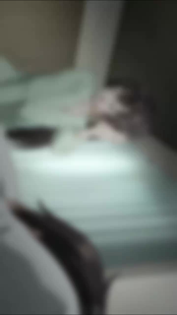@Toyki