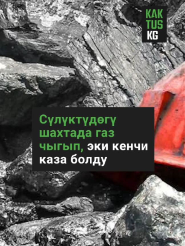 @Kaktus KG