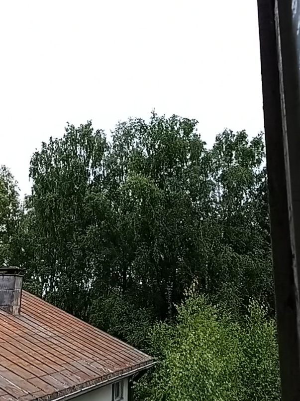 @LEMPEÄ JÄTTI