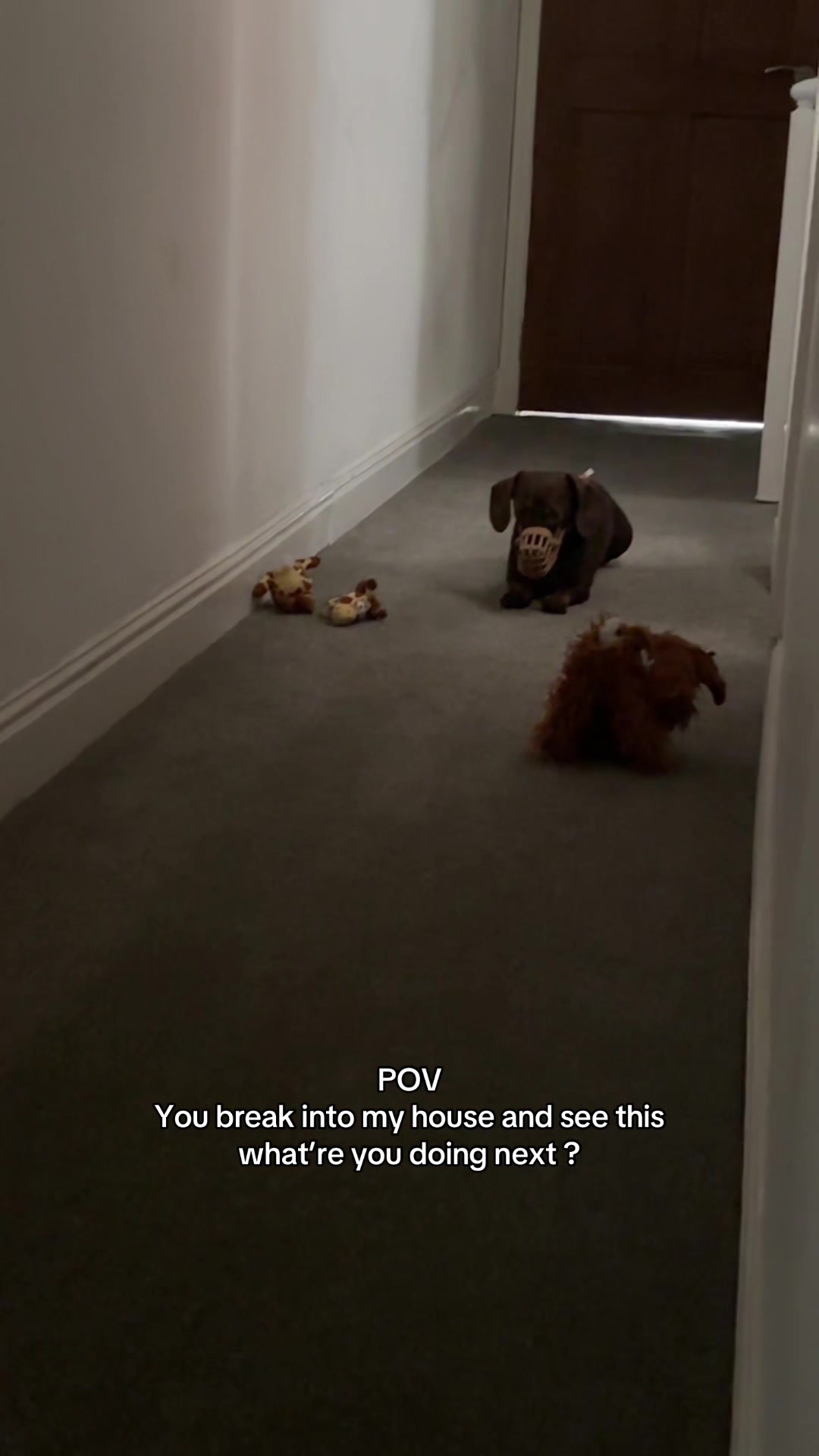 @Dougie