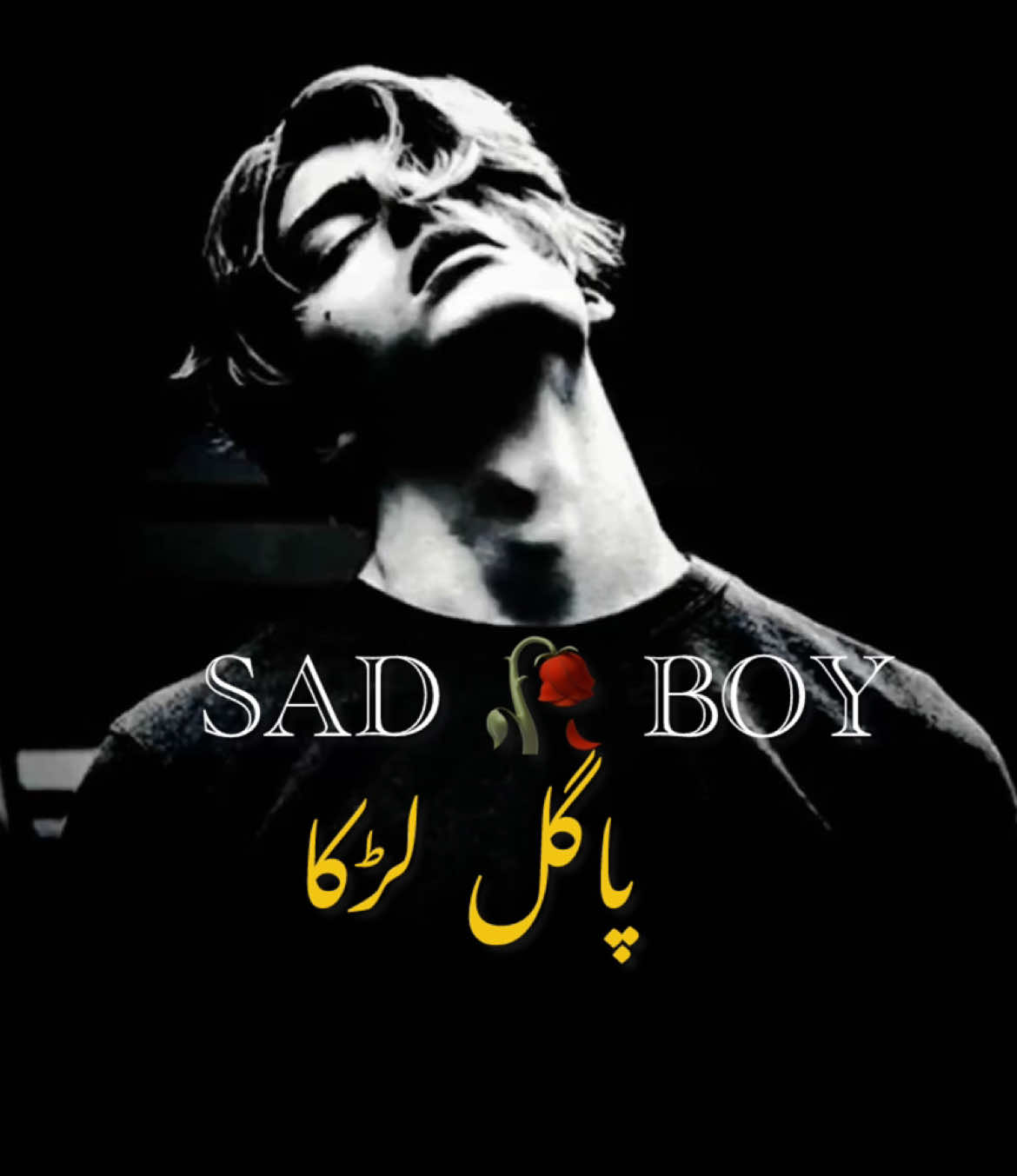 @😢 SAD BOY🎶