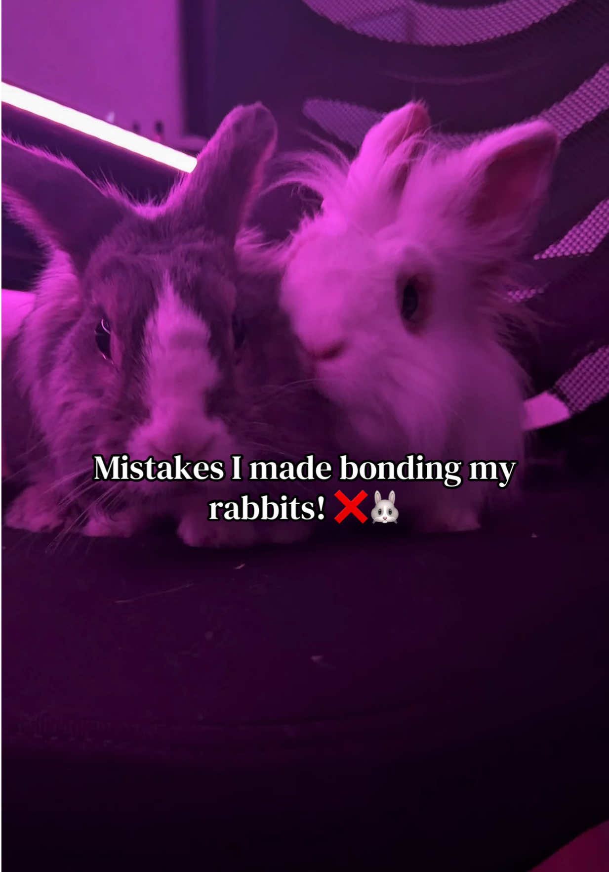 @mrphirii