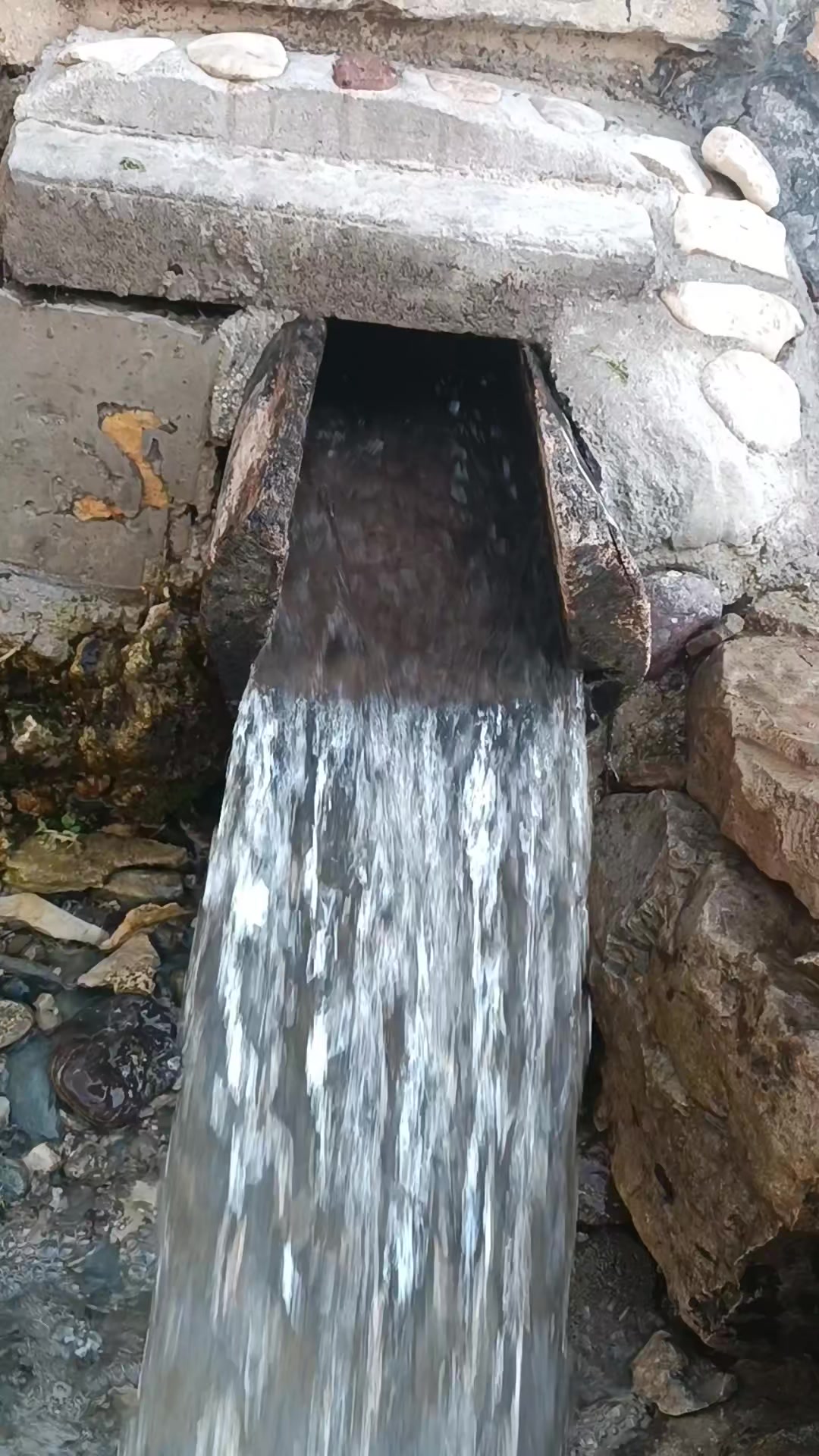 @DAĞCI.46