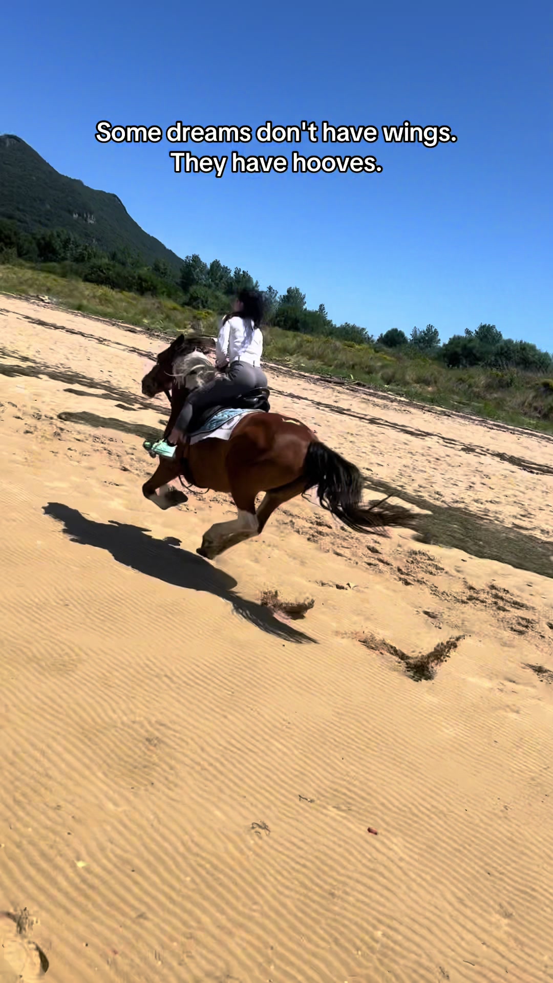@KaliEquestrian🐎