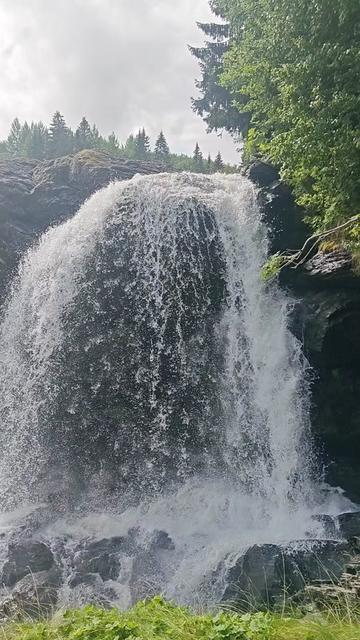 @ᛈᚢᚷ 🇸🇪