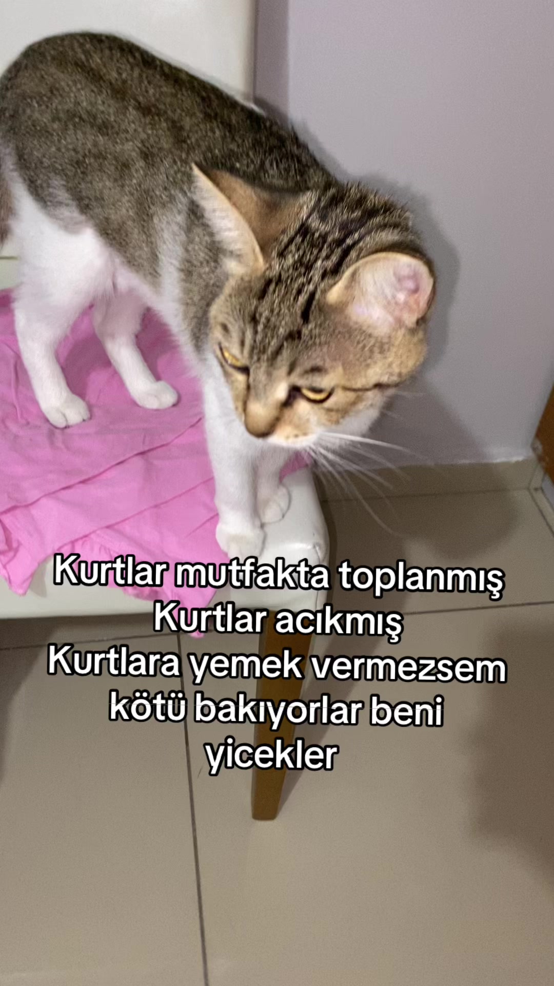 @yudummz_