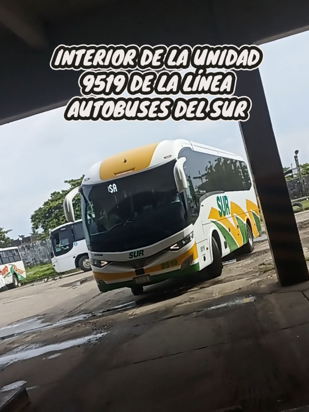@Busologia Veracruzana 🍀🚍