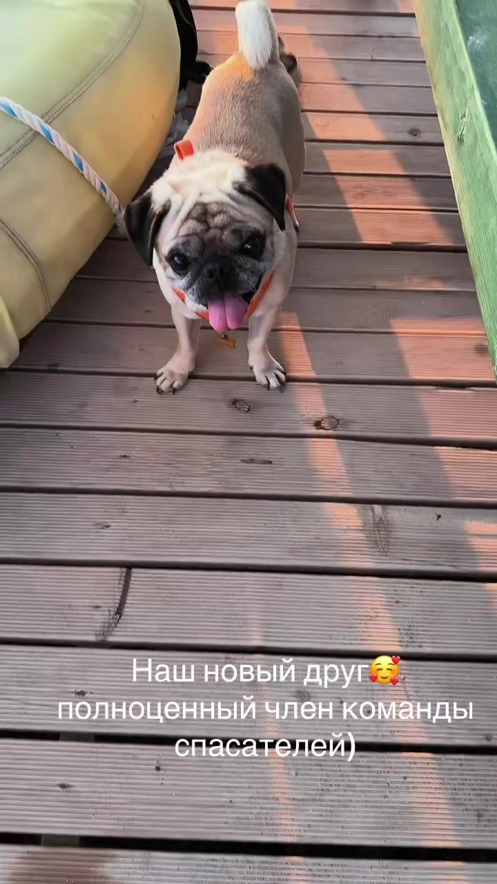 @viktoriay