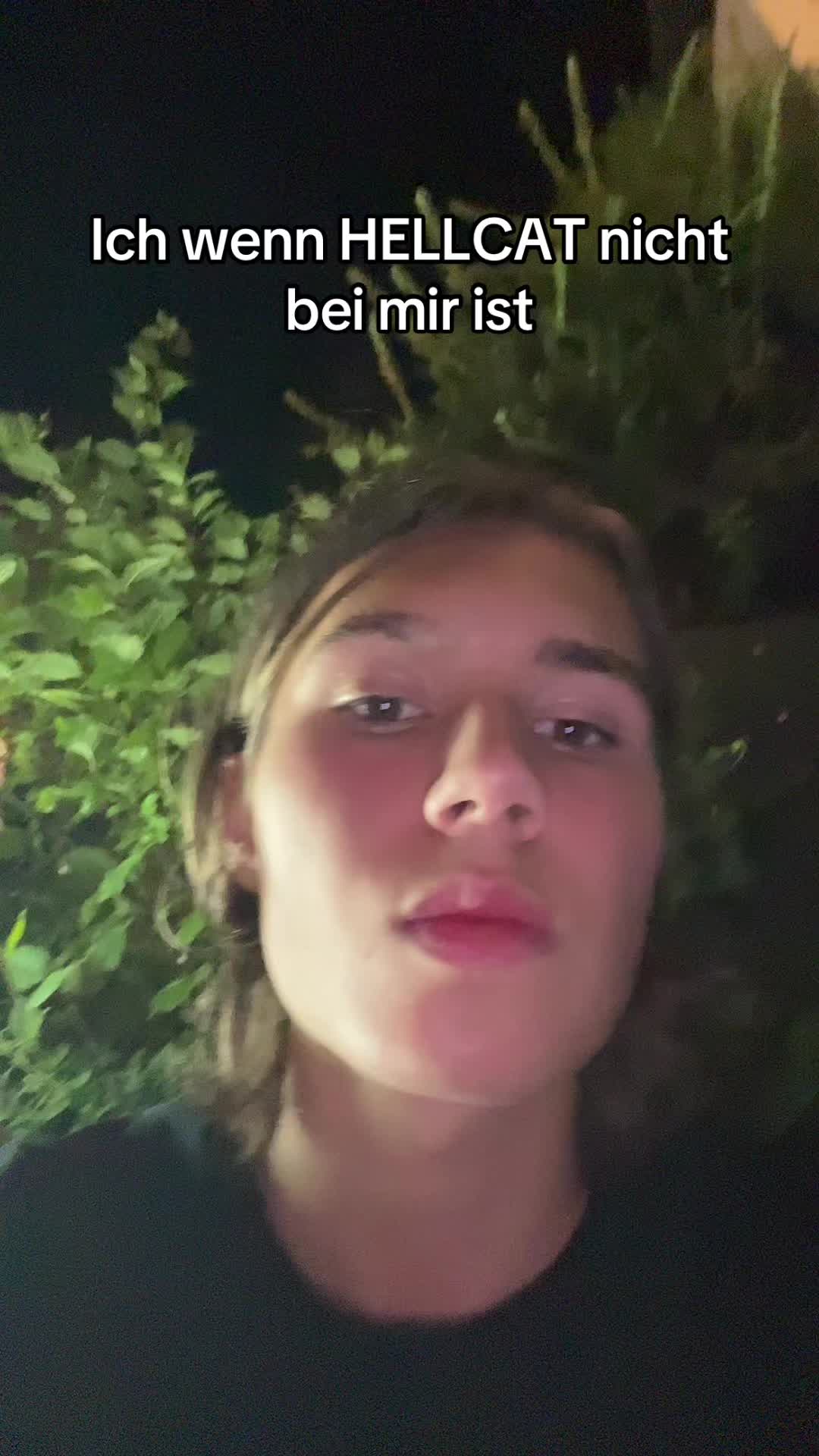 @hellste cats