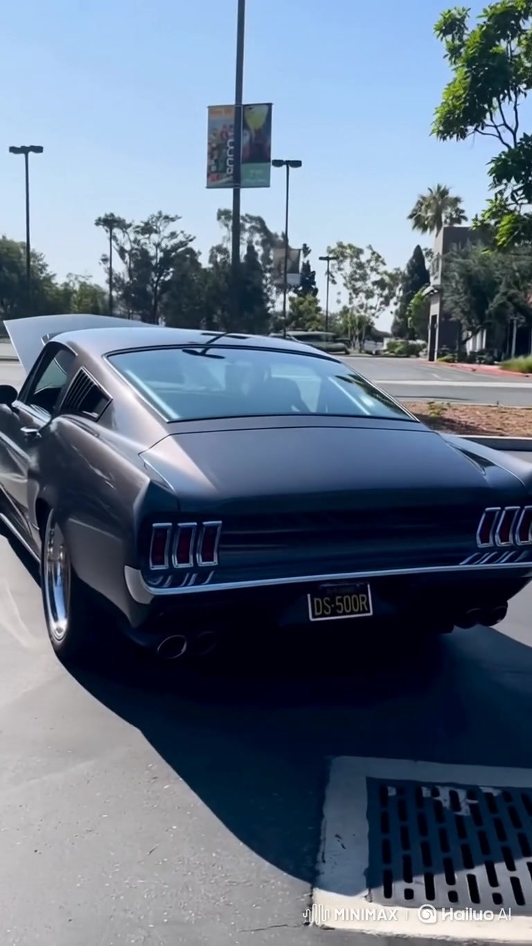 @Mustang / Muscle (USA)