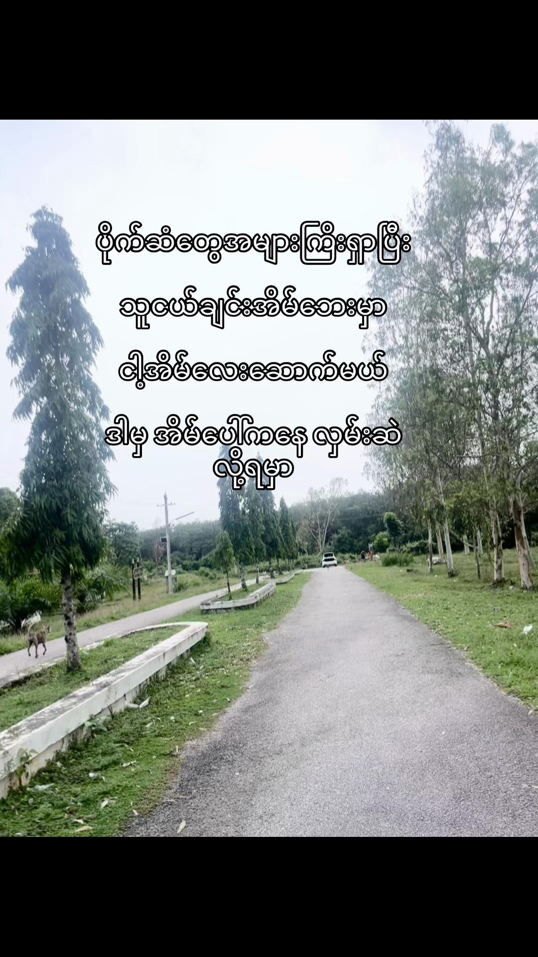 @Mi Lin