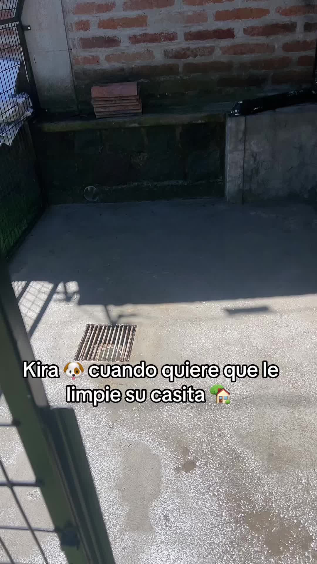 @Lorena Parisella