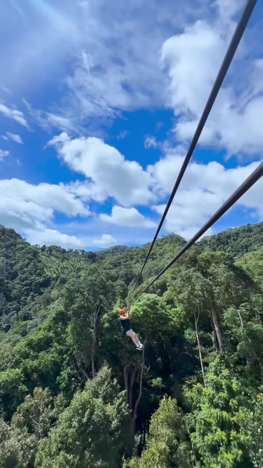 @D&iuml;ā🐻