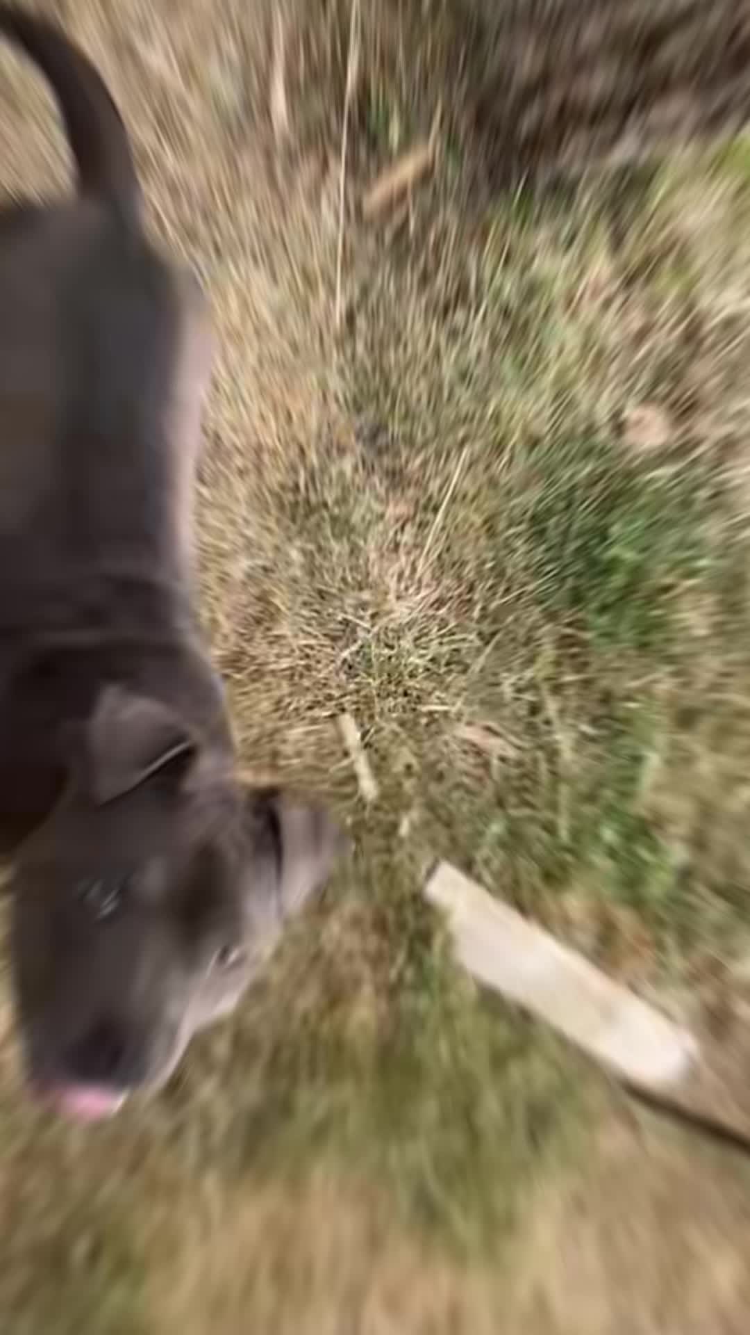@🤍Ol&aacute;h Viki🤍