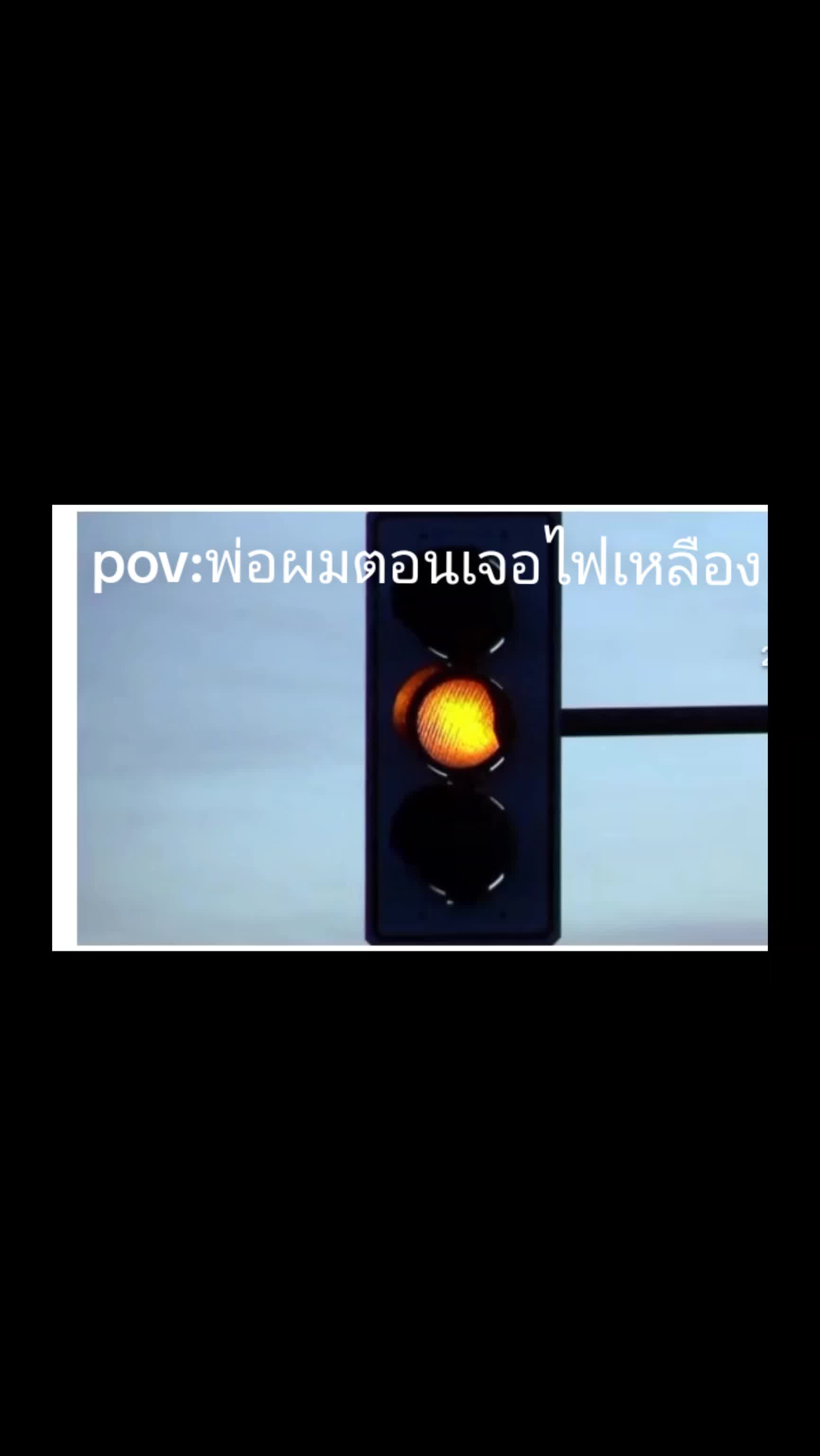 @🥶แมวดูไปเรื่อย🪽