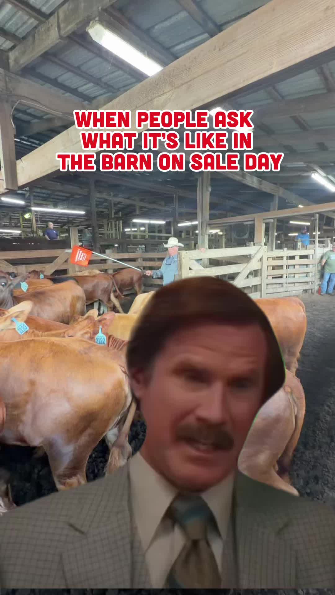 @Cattlemen’s Livestock Market