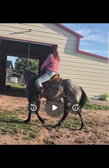 @pussnboots4555