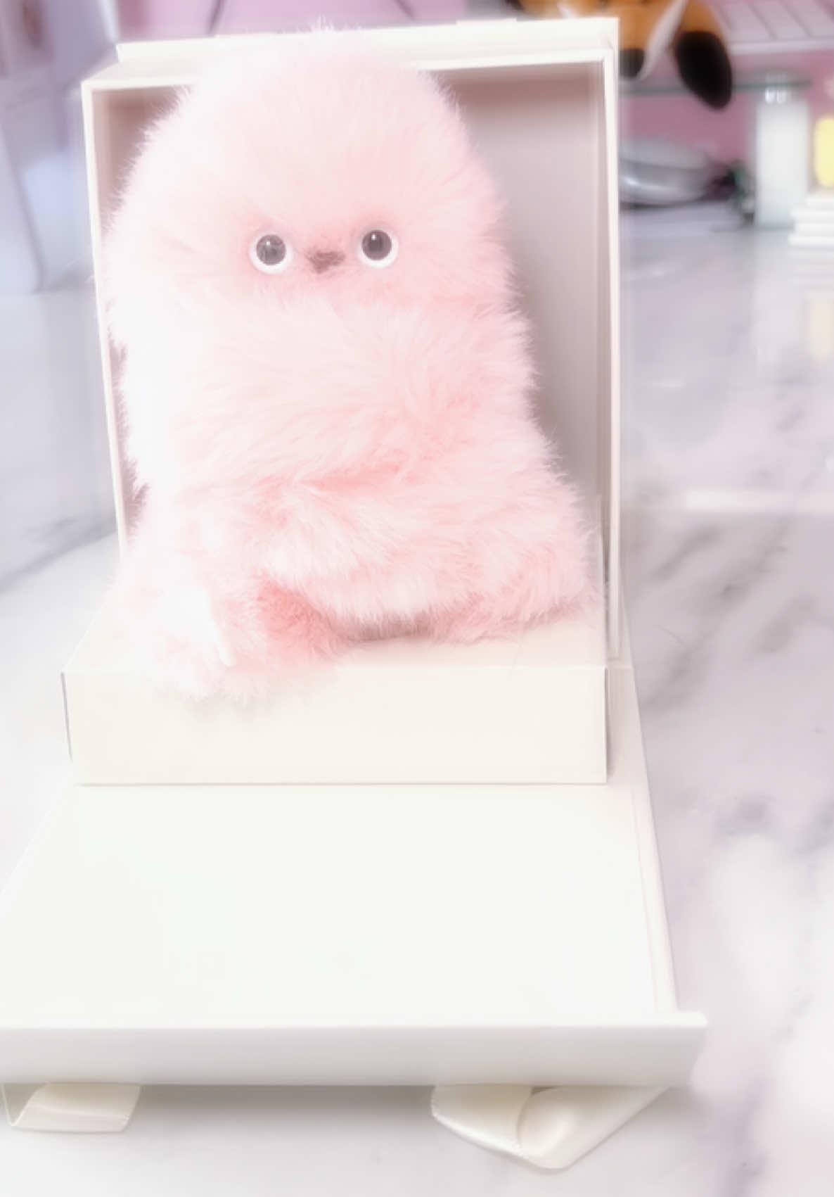 @Amanda ๐ชฉโ๏ธ๐