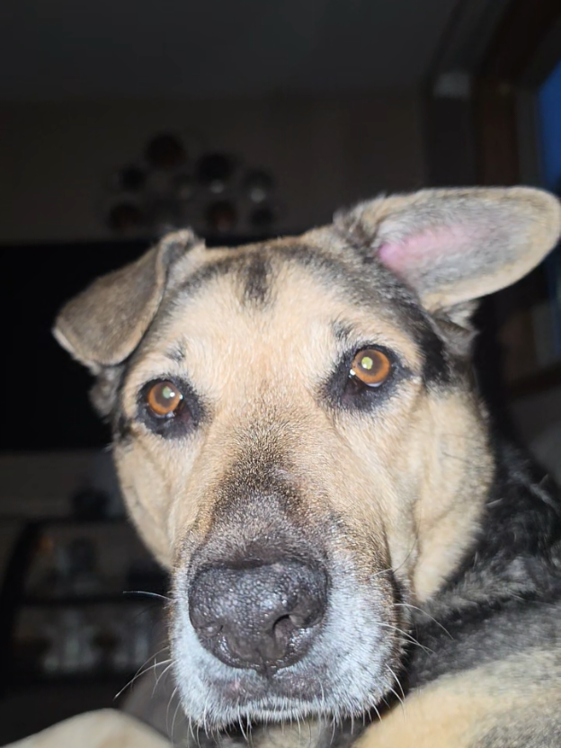 @Dylan