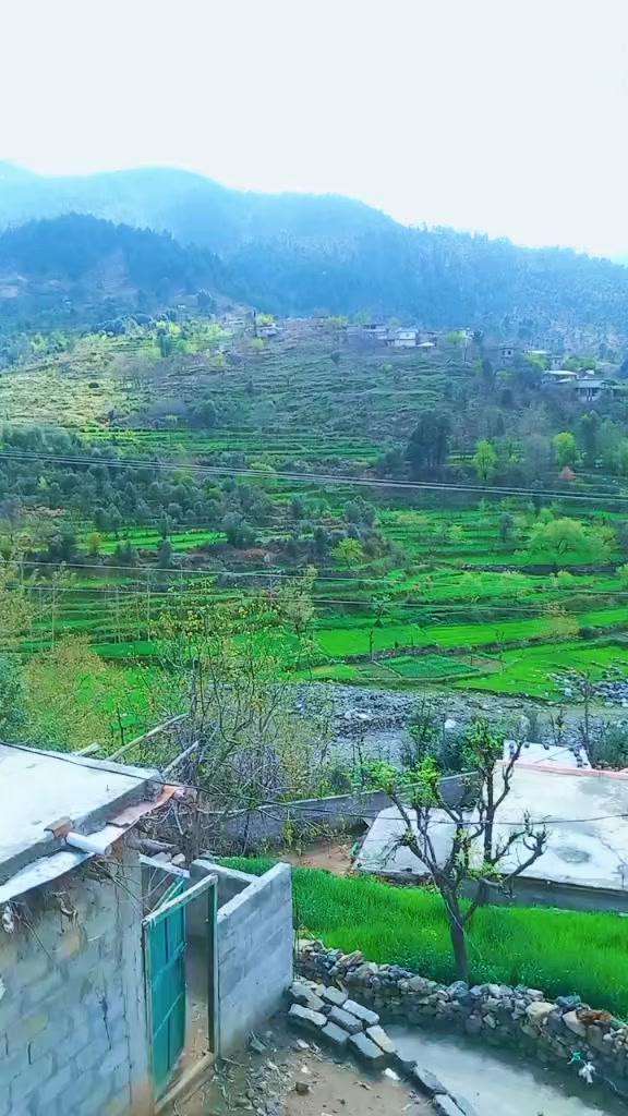 @salman Khan804🇵🇰