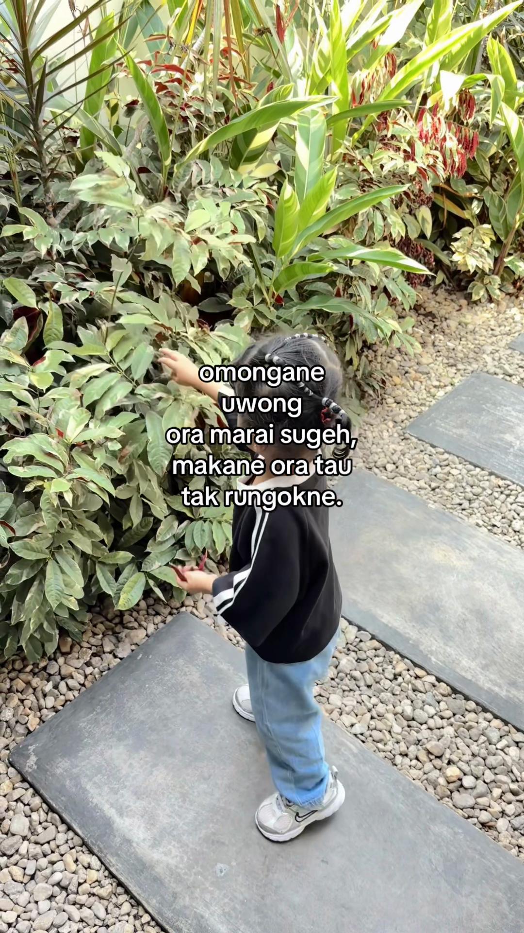 @๐๐๐๐๐๐ ๐๐๐๐๐๐