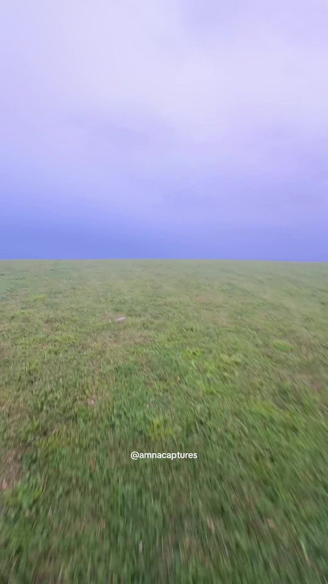 @Nature lover 🇨🇦