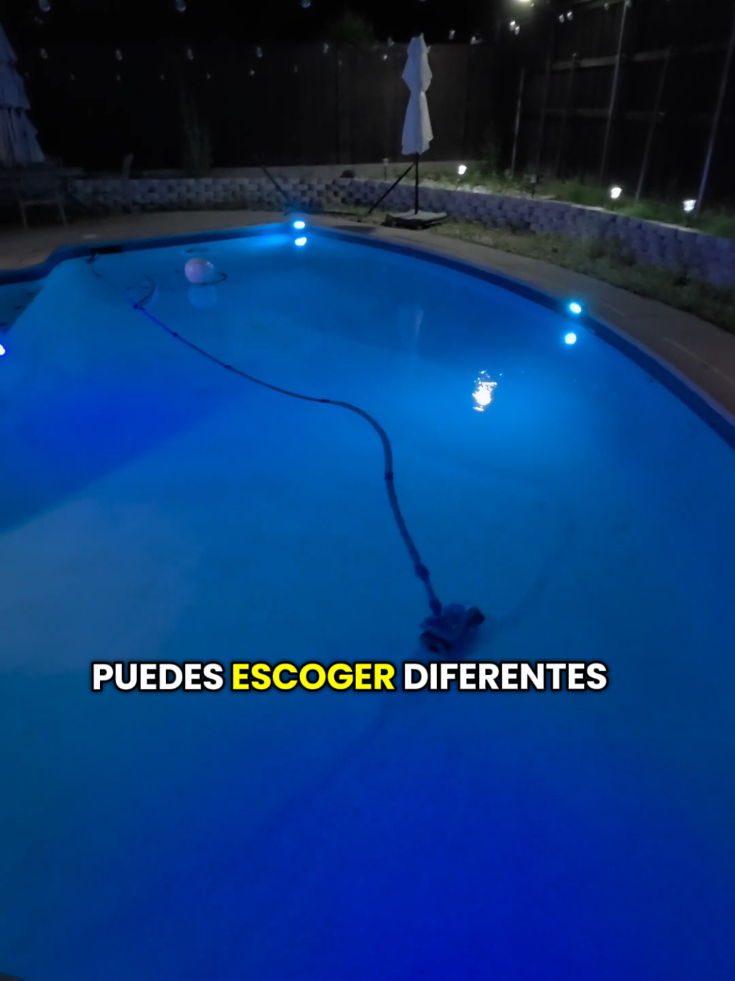 @leonel Mora