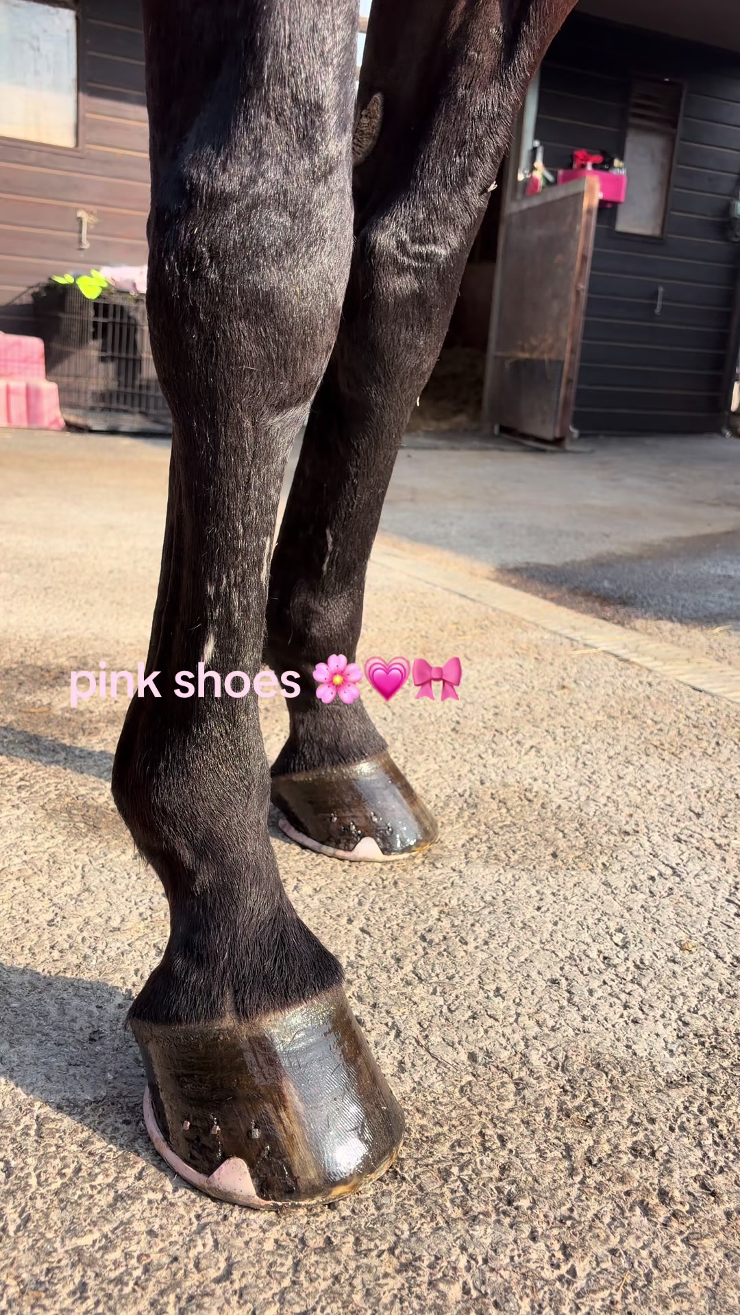 @brooke.parkerr