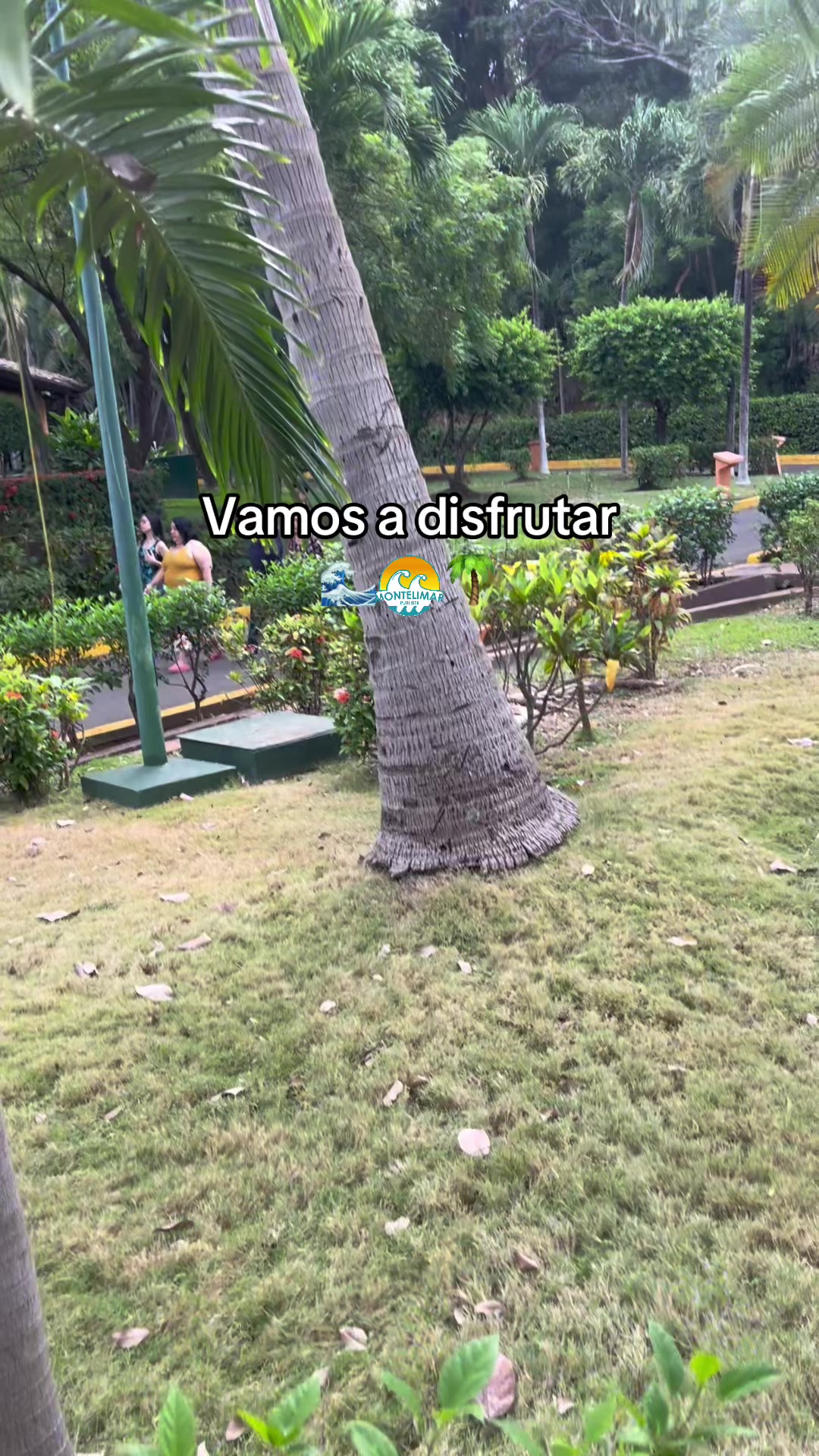 @Agencia Montelimar 🌊☀️🌴
