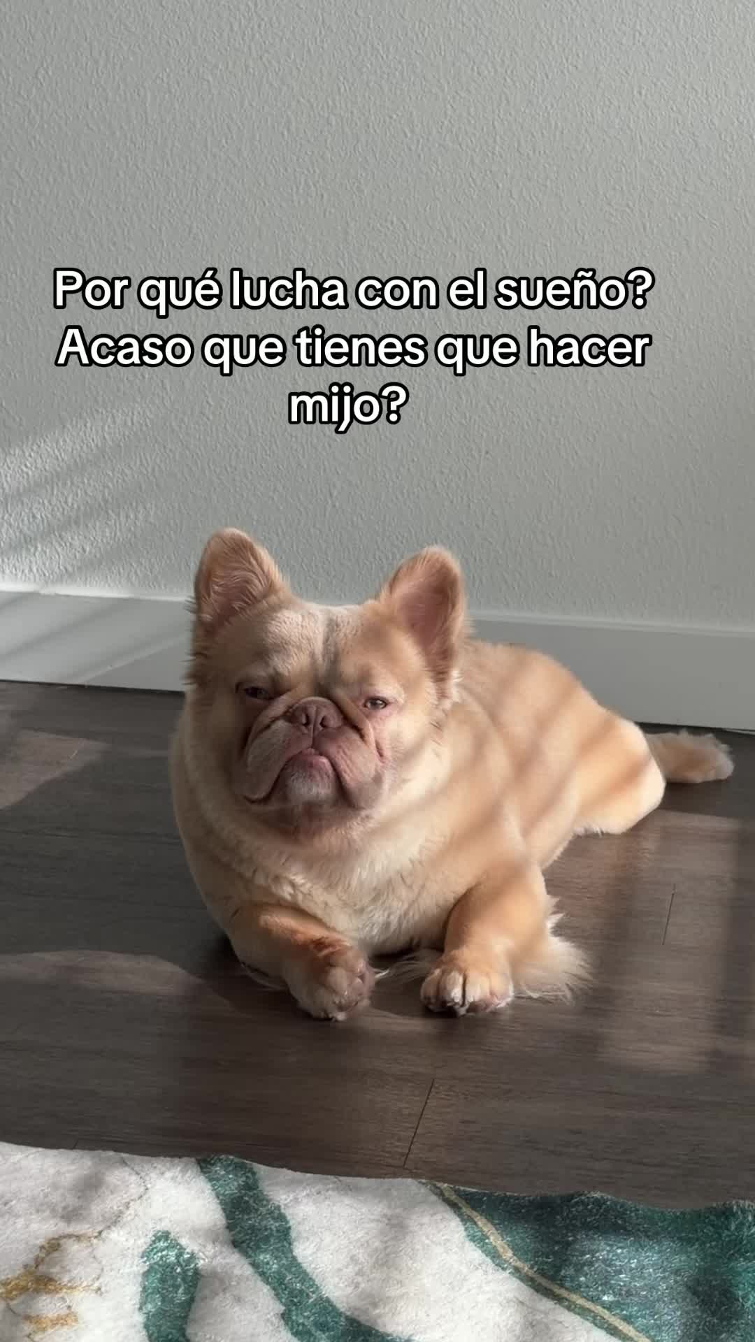 @Sharon Naomi Barrios